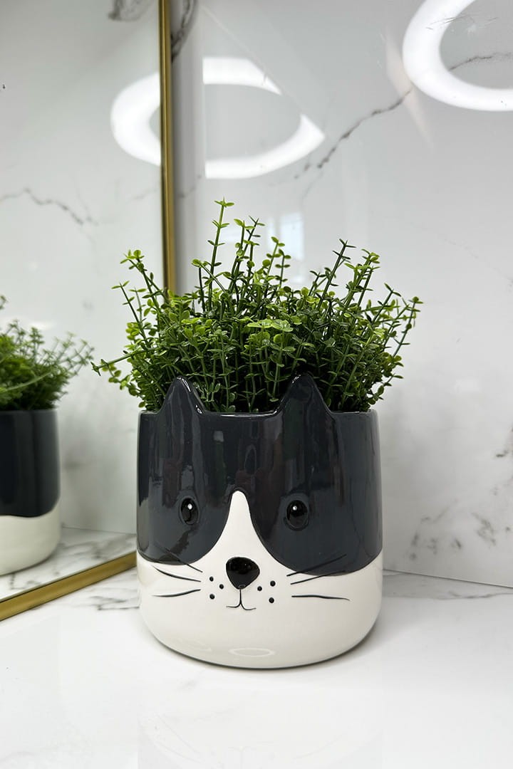 Schwarzer und weißer Keramiktopf in Form einer Katze