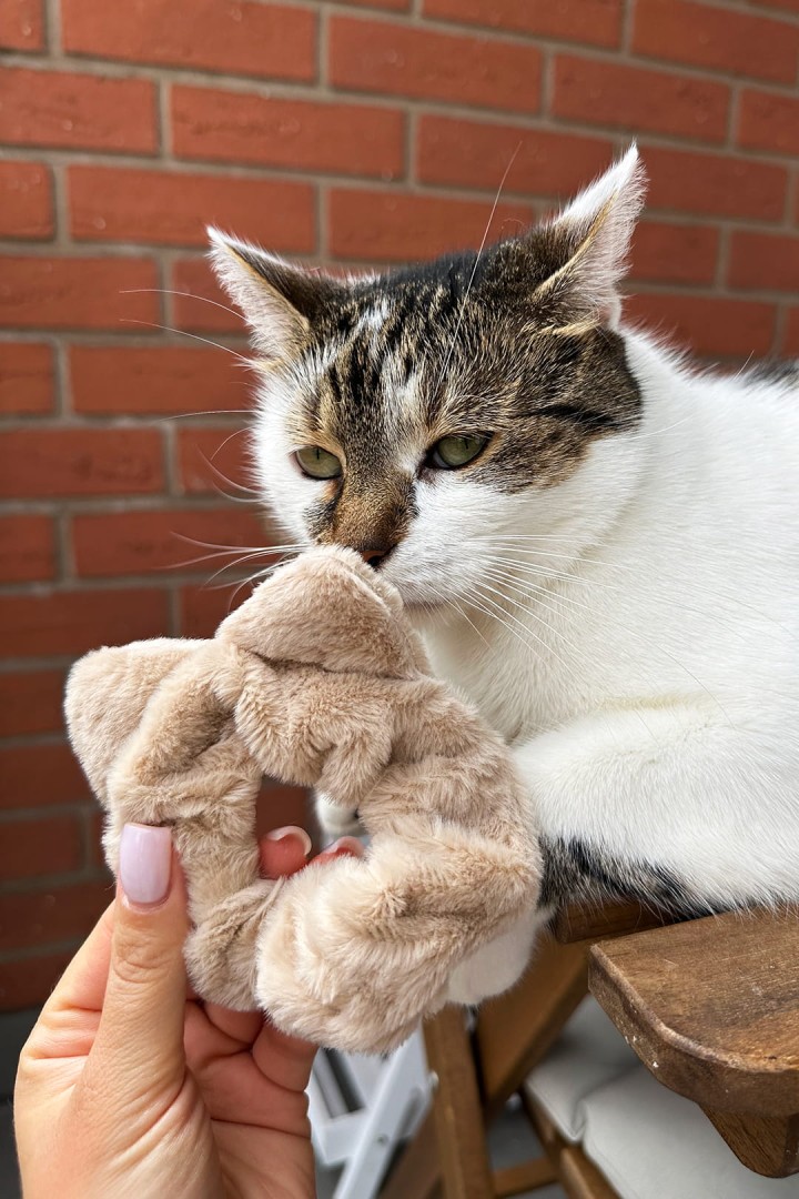 Flauschiges Haargummi mit Katzenohren Haargummis Katzen