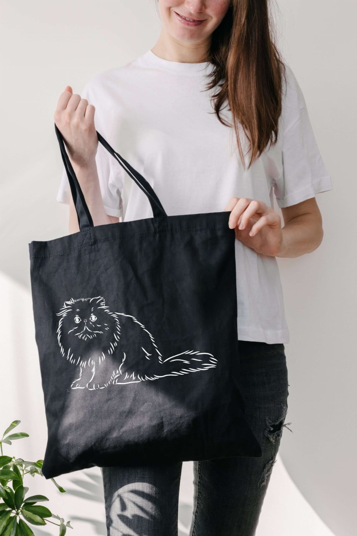 Exotische Katze 