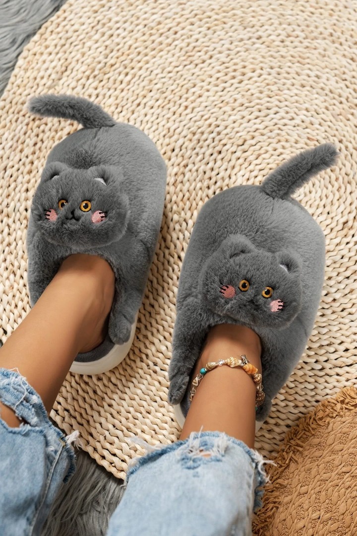 Katzenpantoffeln