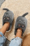 Katzenpantoffeln