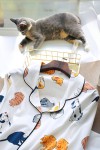 Kurzärmeliger Katzen-Pyjama für Damen