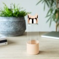 bottle-cat-350-ml-rose-gold-borosilicate-27042C.jpg