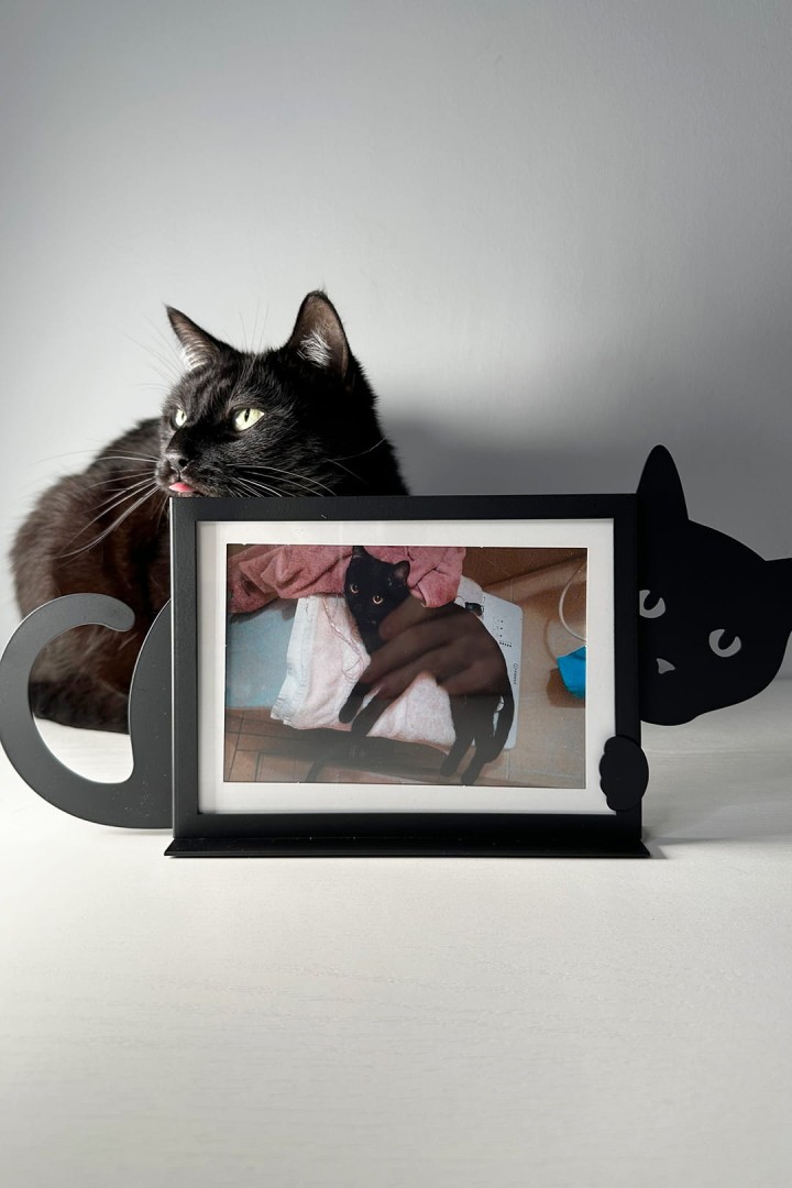Metall Fotorahmen horizontal Katze