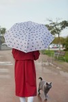 Grauer Regenschirm mit Katzen bestes Geschenk für Katzendame