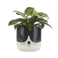 flower-pot-kitty-black-white-ceramic-27681.jpg