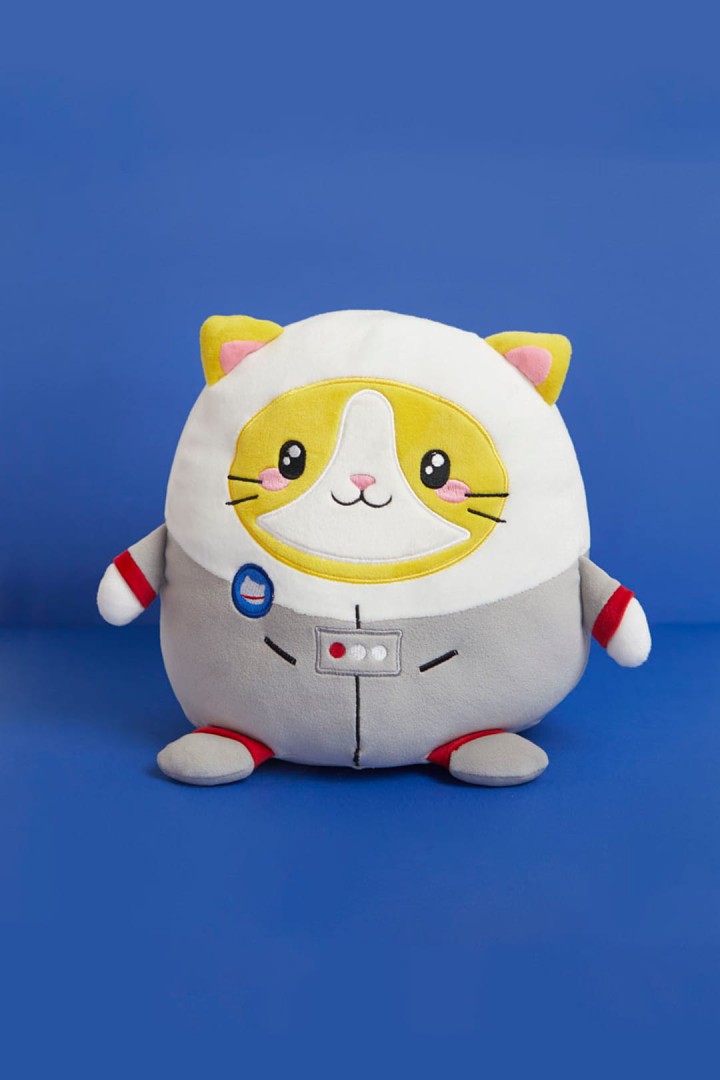 Katze Astronaut Kissen Geschenk mit Katze