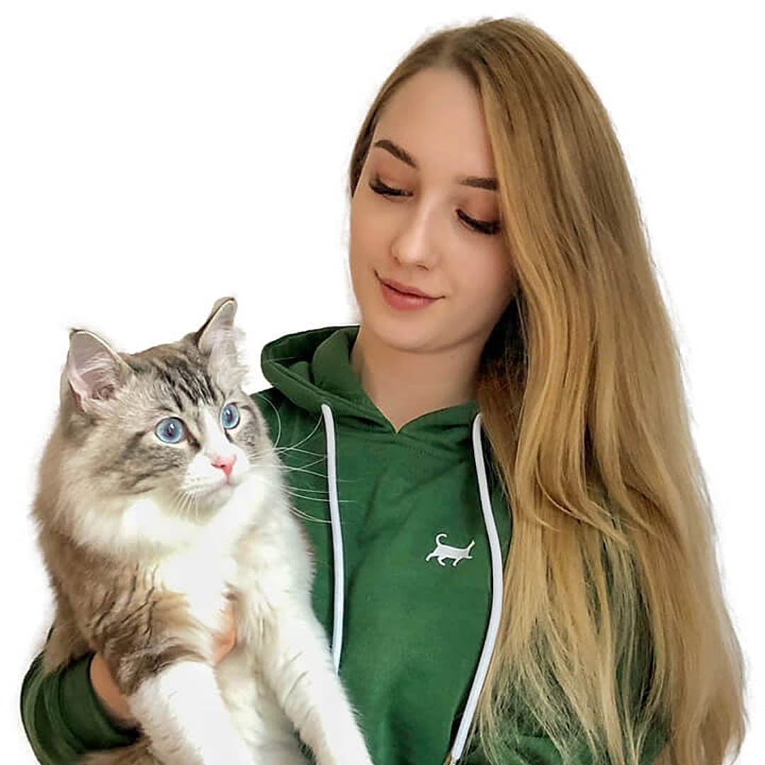 Zufälliges Sweatshirt 